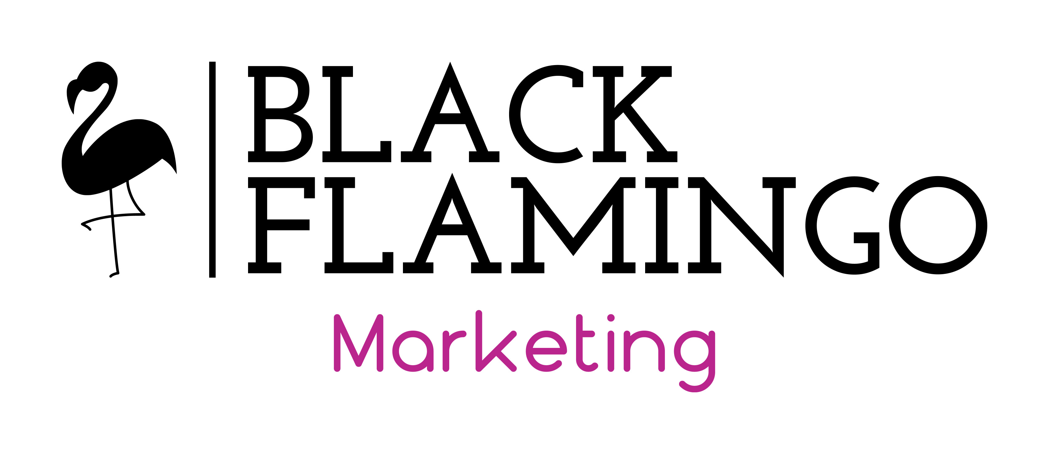Black Flamingo Marketing